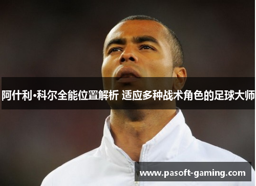 阿什利·科尔全能位置解析 适应多种战术角色的足球大师 阿什利·科尔全能位置解析 适应多种战术角色的足球大师
