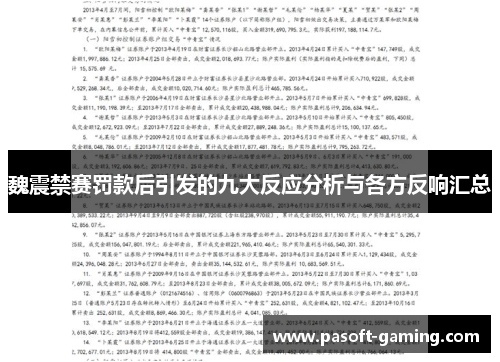 魏震禁赛罚款后引发的九大反应分析与各方反响汇总