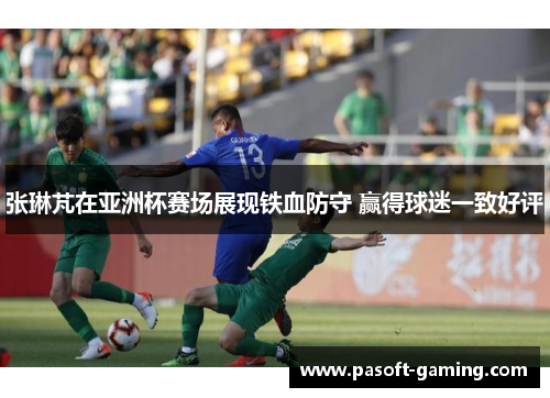 张琳芃在亚洲杯赛场展现铁血防守 赢得球迷一致好评