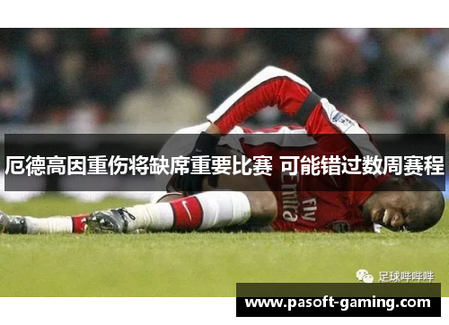 厄德高因重伤将缺席重要比赛 可能错过数周赛程