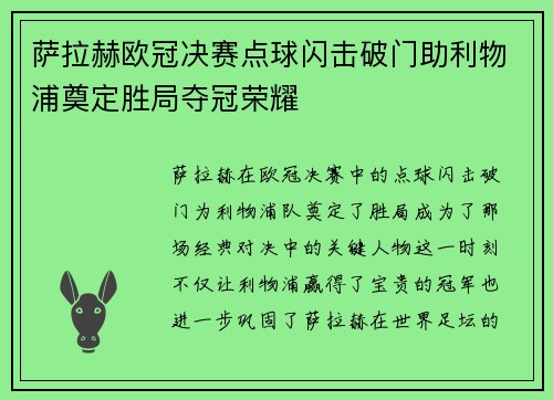 萨拉赫欧冠决赛点球闪击破门助利物浦奠定胜局夺冠荣耀